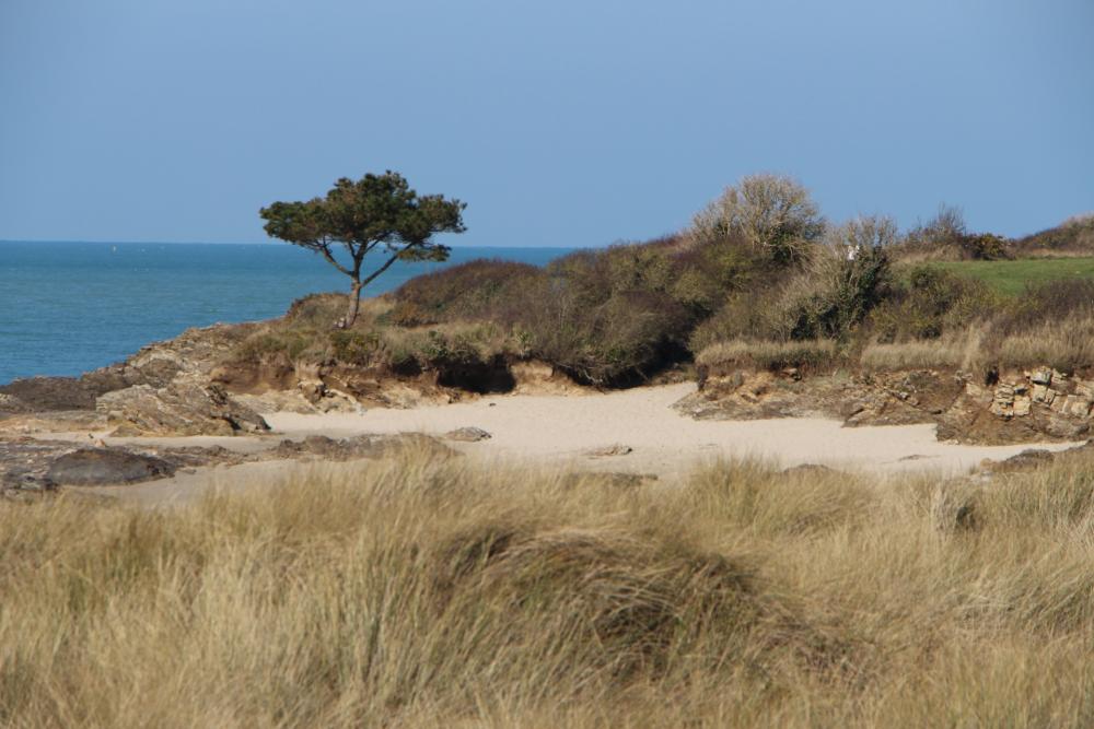 A.C.P.G.- C.A.T.M. - T.O.E. - Veuves & Citoyens de la Paix de LANCIEUX