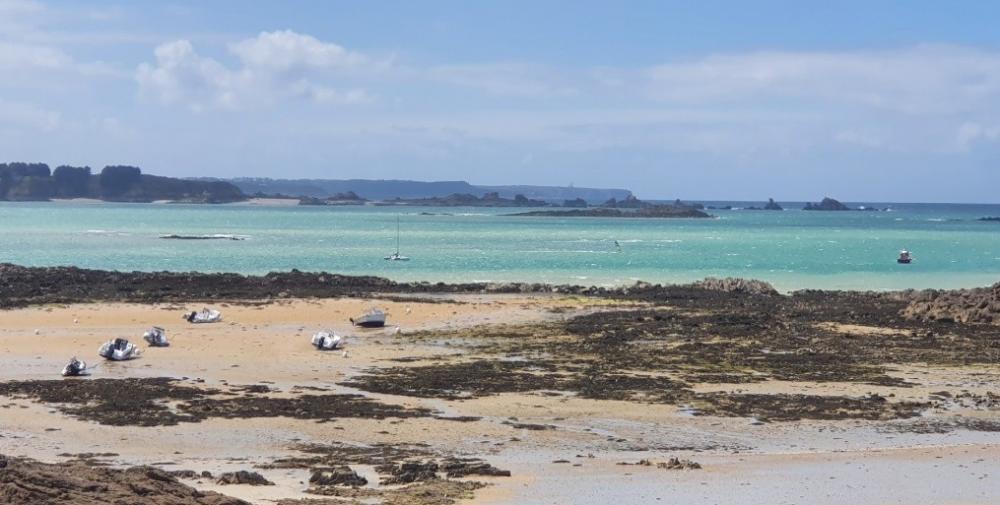 P'tite Mouette N°1 juillet 2021