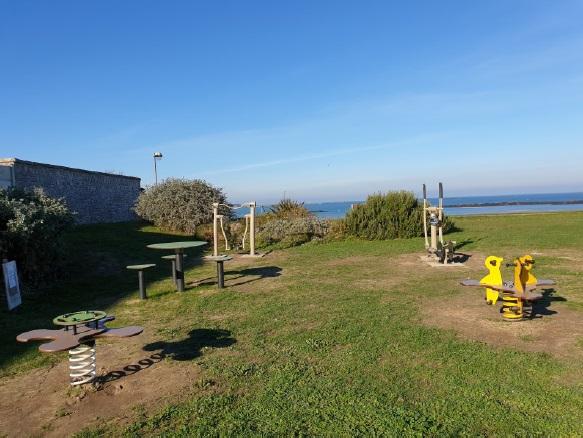 La P'tite Mouette N°3 janvier 2021